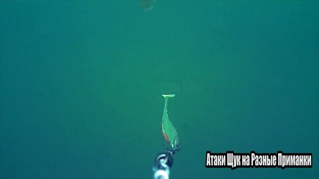 Рыбалка? ЗРЕЛИЩНЫЕ АТАКИ Больших Гигантских ЩУК на разные приманки? Подводная съемка смотреть онлайн