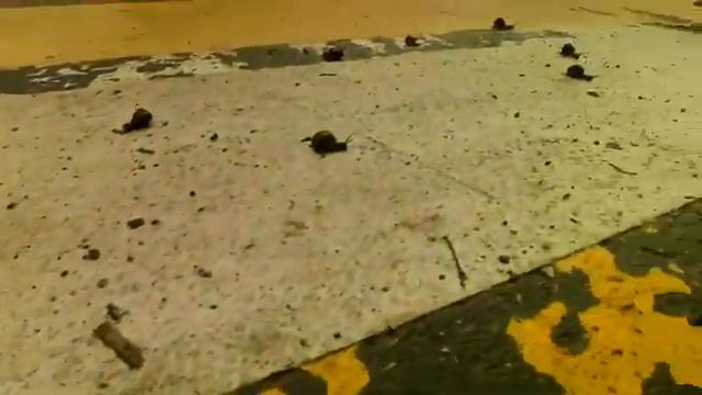 Video by Evgeny Rife Rybalka смотреть онлайн