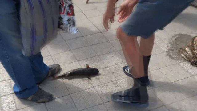 Рыбалка в Анапе 13 июня 2020 года Лов Кефали в реке Анапка