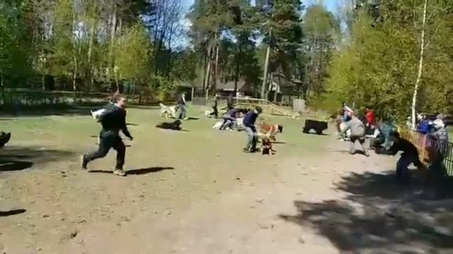 Фауна-Малаховка смотреть онлайн