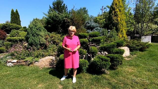 Мои любимые Платья в спортивном стиле . Обзор летних платьев смотреть онлайн