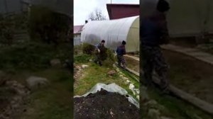 как перенести теплицу