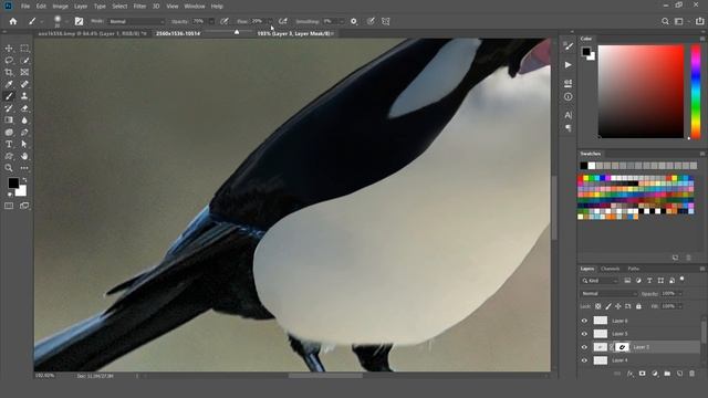 The Rare Magwhale - Funny Photoshops #55 смотреть онлайн