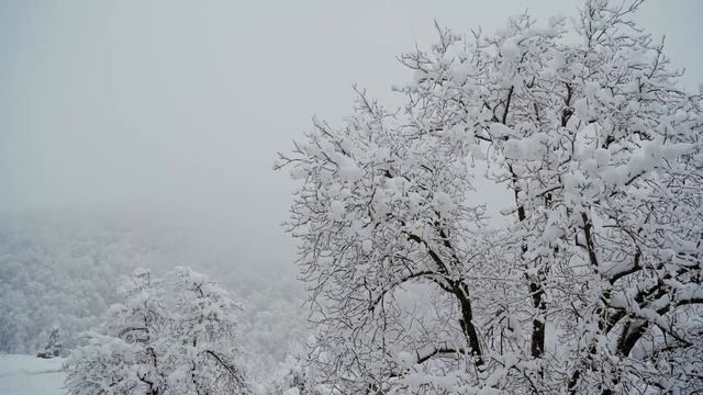 Сорок лет — старость юности, пятьдесят — юность старости. смотреть онлайн