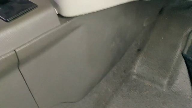 Чистка парою #nissan #nissanleaf #electro #bezxim #безхім #detailing #car #ecars #cardetailing #car