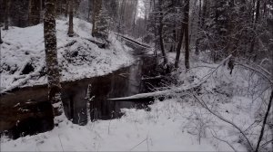 Охота на куницу. Проверка капканов (Будни охотника и рыбака)