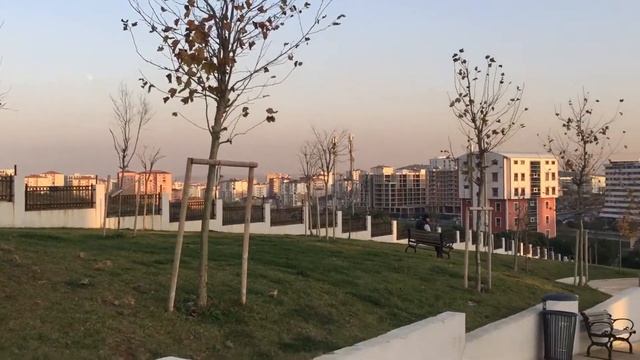 Весь парк - смотровая площадка... Пендик, Енишехир (Стамбул). У аэропорта Сабиха. 09.12.19,16:54 смотреть онлайн