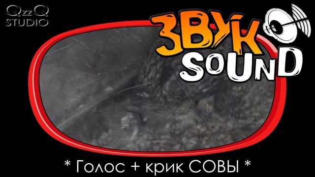 Сова, голос Совы, крик Совы | Owls Birds, Owl Hoot, Owl Sounds, Owl FX смотреть онлайн