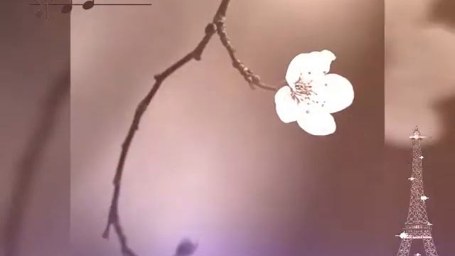 #наслаждаемся_красивой_мелодией_аккардеона# смотреть онлайн