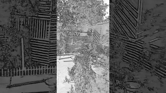 Нарисованная дача)) смотреть онлайн