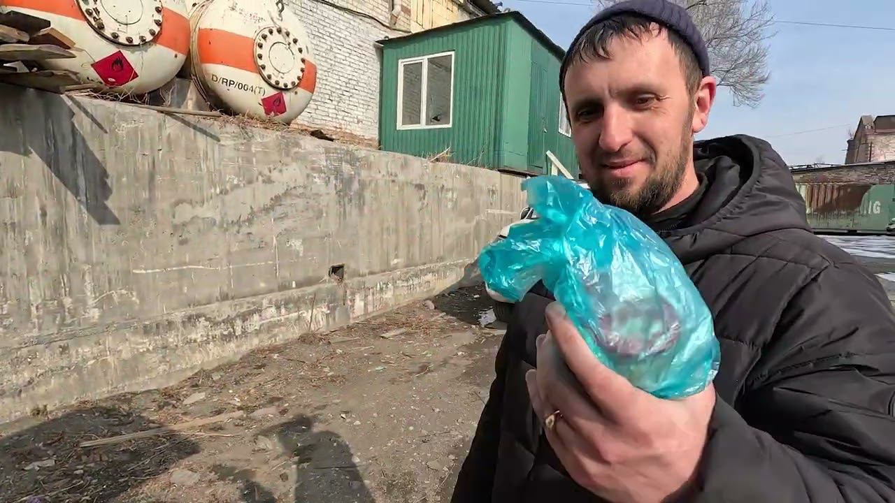 Ушатали Рактиса! перегон 2024 смотреть онлайн