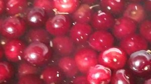 Как быстро избавится от червяков в вишне или черешни.