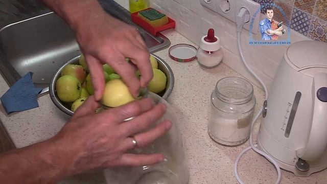 САМЫЕ ПОЛЕЗНЫЕ ЯБЛОКИ В ДОМАШНИХ УСЛОВИЯХ. ФЕРМЕНТИРОВАННЫЕ ЯБЛОКИ смотреть онлайн