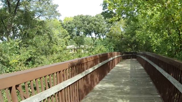 The New AKASO V50 ELITE FIRST LOOK смотреть онлайн