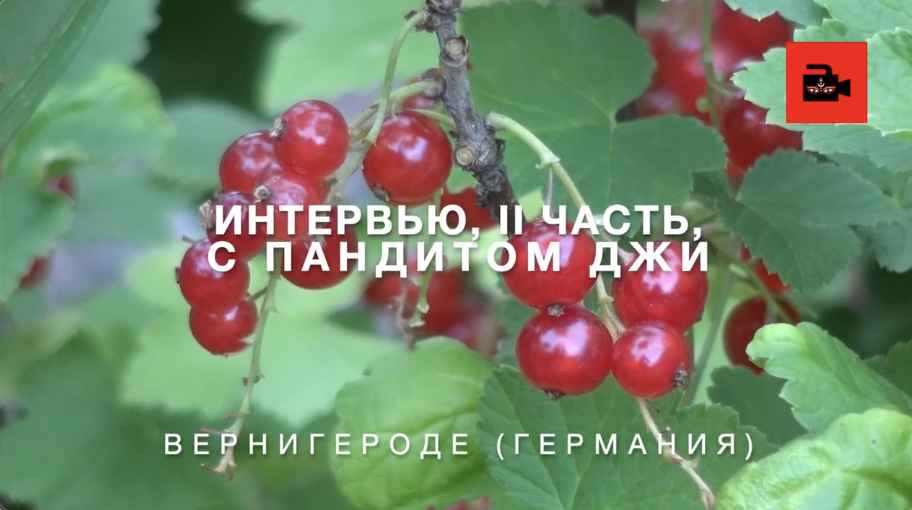 II часть интервью с брамином К.Шастри (русский перевод) / Interview with brahmin K.Shastri, II part