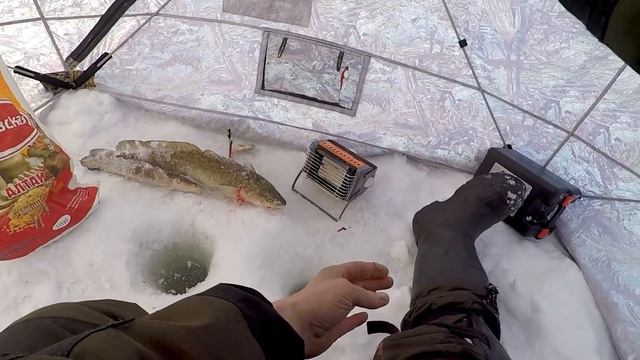 Рыбалка на Оби - Ловим Налима!  Тест Мотособаки Snowdog 