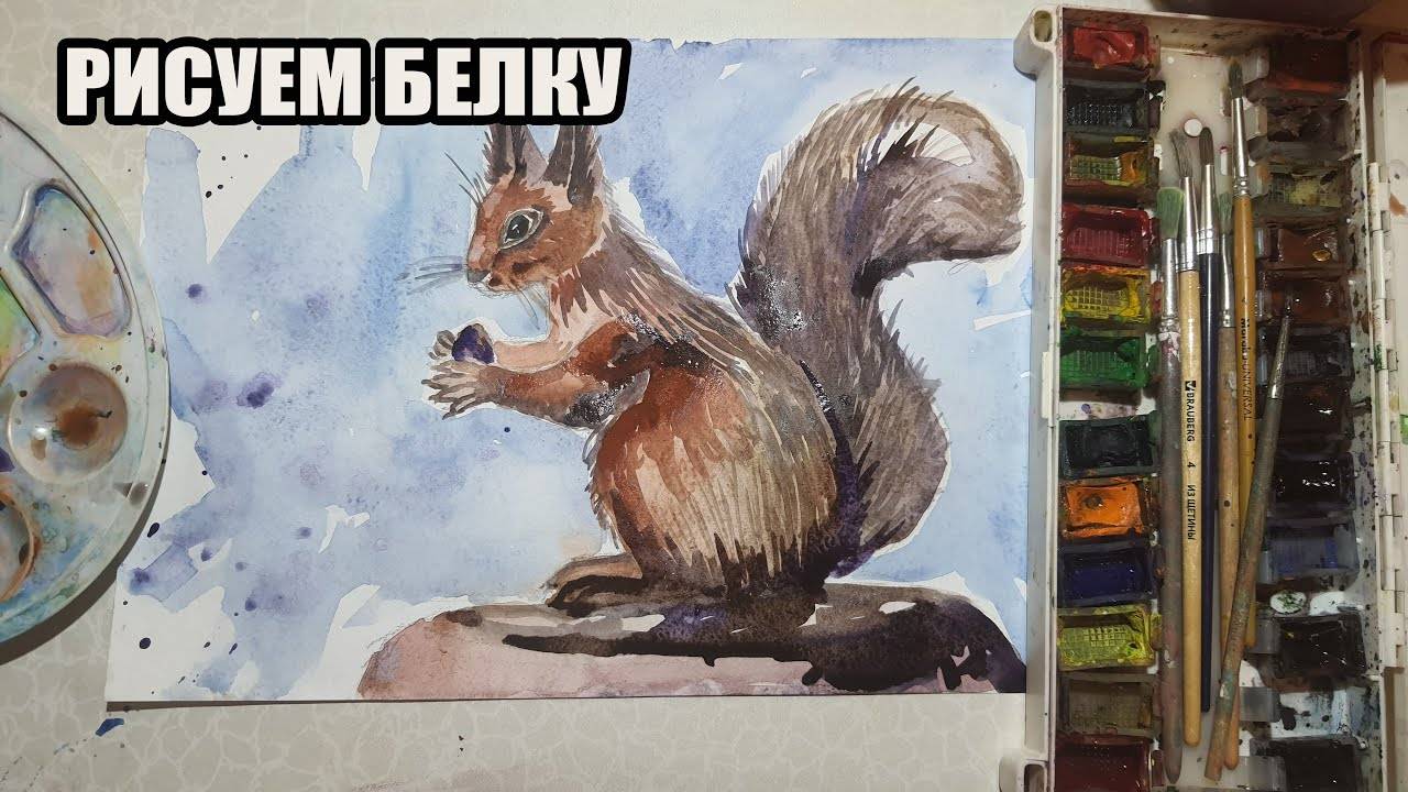 Рисуем белку смотреть онлайн