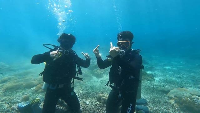 Honey Singh Concert In Bali Ocean | Scuba Diving Bali | Bali Vlog 2 смотреть онлайн