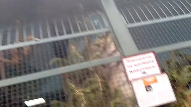 В Екатеринбурге в Крэзи парке смотреть онлайн
