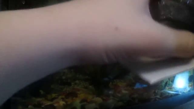 Распаковка WEB-камеры Defender C-090