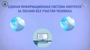 Развитие Лесного хозяйства России