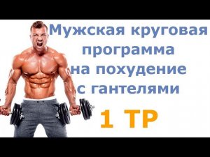 Мужская круговая программа на похудение с гантелями (1 тр)