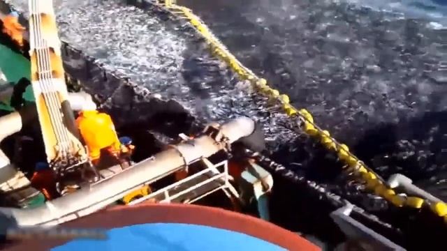 Amazing Fast Fishing Skills, Catching Big Fish In The Sea !!! смотреть онлайн