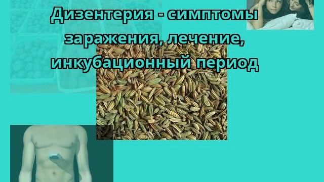 Дизентерия - симптомы заражения, лечение, инкубационный период смотреть онлайн