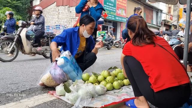 Harvesting Garden Guava Fruit, Rainy Day Goes To The Market Sell - Making Garden - Triệu Thị Xuân