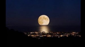 Песня Товарищ Я песней, как ветром, наполню страну