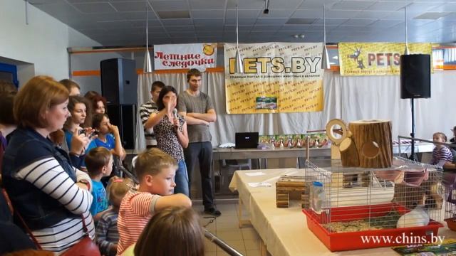 Рассказ о шиншиллах на выставке "Летние следочки 2013" смотреть онлайн