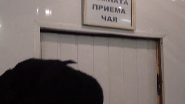 Скрытая дверь смотреть онлайн