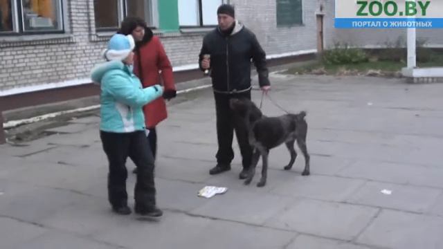 FCI-7 смотреть онлайн