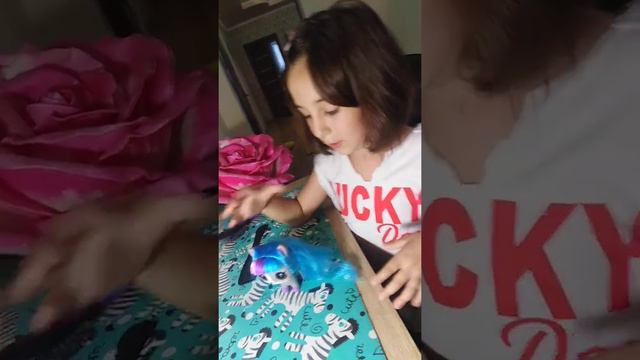 Посмотрите как Мила делает причёску своему любимчику смотреть онлайн