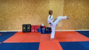 Пхумсэ №3. Тэгук Сам Джан.