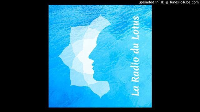 la radio du lotus 90 la médiumnité, l'audio tel, les heures miroir et les oracles avec Marion, Vir смотреть онлайн