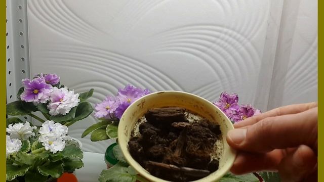 Обзор торфогрунтов 6-я сер. Terra Vita, Composana и др. смотреть онлайн