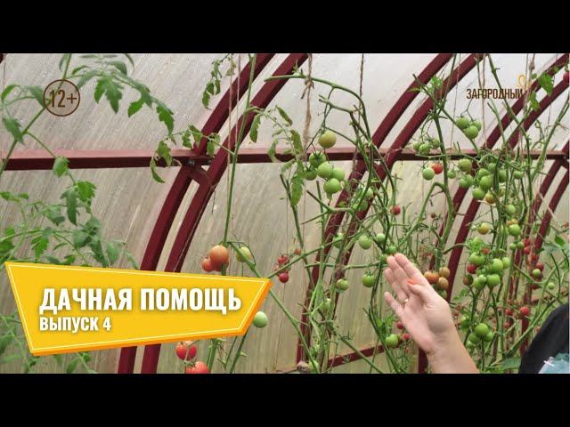 Дачная помощь // Выпуск 4 смотреть онлайн