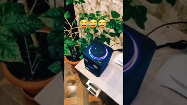 Алиса Сливается ???♂️ смотреть онлайн