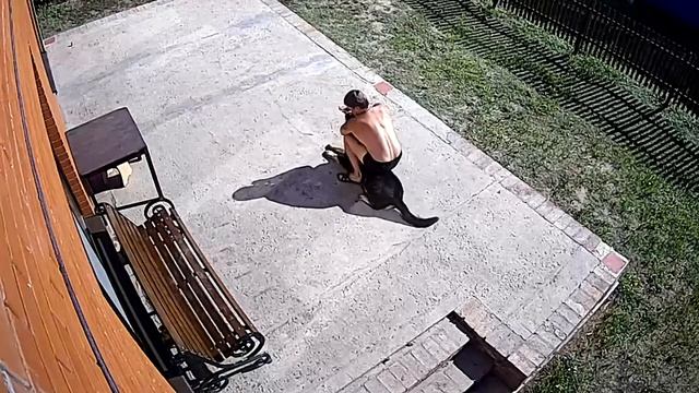 Как закапывать нос собаке смотреть онлайн