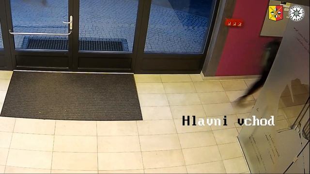 Запись с камеры безопасности