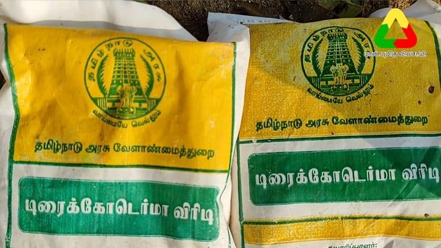 PSEUDOMONAS & Trichoderma Viride |ROOT DISEASES | TRYPAE MIX | #HONORABLEFARMER | BIO Fungicides