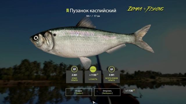 Русская рыбалка 4.?? р. Ахтуба ???? ГДЕ ЛОВИТ LATORSO ? смотреть онлайн