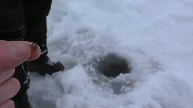 Рыбалка ОКА 2021 конец января! Рыбалка на мормышку! смотреть онлайн