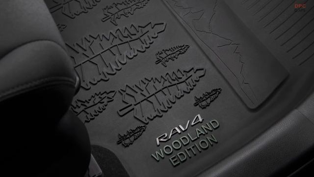 2023 Toyota RAV4 Hybrid Woodland Edition смотреть онлайн