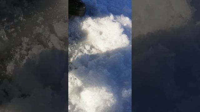 щука на 2.700))? смотреть онлайн