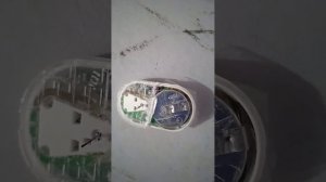 Сенсор Sibionics попытки перезапустить.