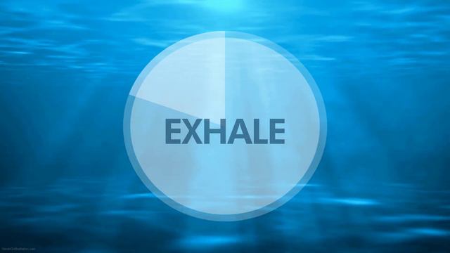 4-7-8 Calm Breathing Exercise | 20 Minutes Maximum Relaxation | Anxiety Relief | Pranayama Exercise смотреть онлайн