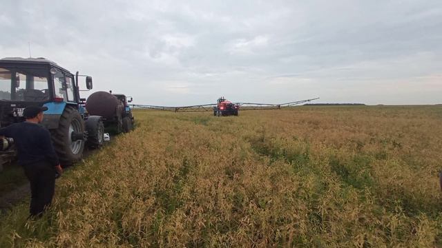 🌾🌱Последний этап опрыскивания гороха, штанговым опрыскивателем Туман-3🌾🌱 смотреть онлайн