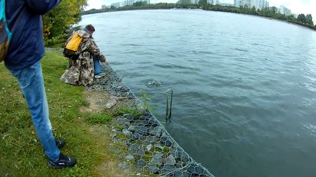 #окунь #судак #рыбалка #москварека смотреть онлайн